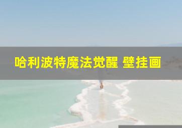 哈利波特魔法觉醒 壁挂画